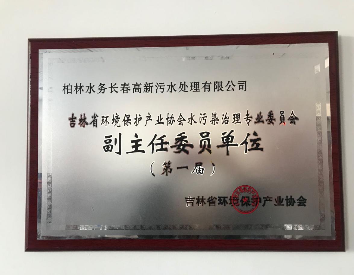 2015年度吉林省环境保护产业协会副主任单位